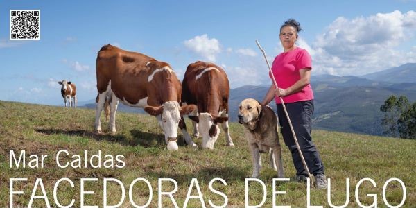 Tarjeta FAcedoras de Lugo